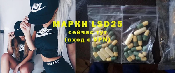 PSILOCYBIN Белокуриха