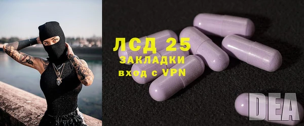 PSILOCYBIN Белокуриха