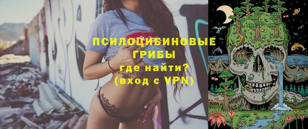 PSILOCYBIN Белокуриха