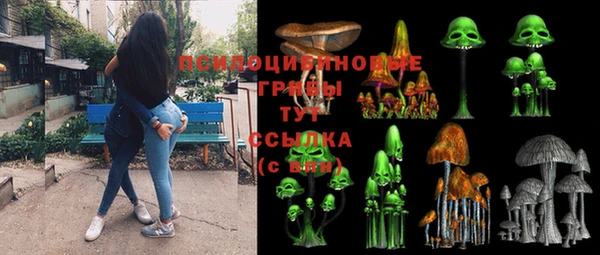 PSILOCYBIN Белокуриха
