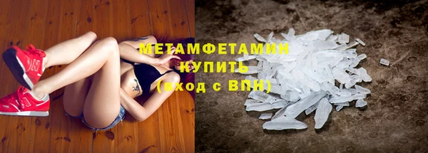 PSILOCYBIN Белокуриха