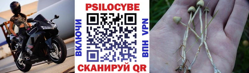 Псилоцибиновые грибы GOLDEN TEACHER  Еманжелинск 